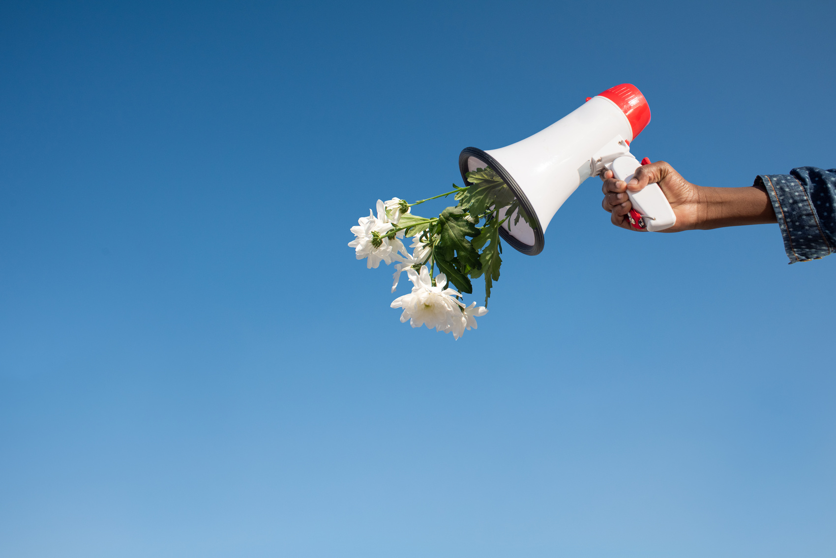 Hand Holding Megaphone with Flowers